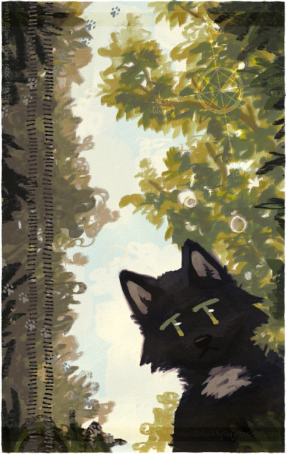 a digital painting of a black fox staring down at the viewer. the viewer is staring up, and far above are lots of tree branches and grass. along the left side is a treaded path crossed with pawprints. in the top right is a faded compass rose.