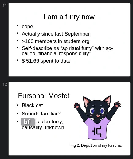 Slide 11: I am a furry now
- cope
- Actually since last September
- >160 members in student org
 Self-describe as “spiritual furry” with so-called “financial responsibility”
- $ 51.66 spent to date

Slide 12: Fursona: Mosfet
- Black cat
- Sounds familiar?
- [ Redacted with "bf" ] is also furry, causality unknown
Fig 2. Depiction of my fursona.