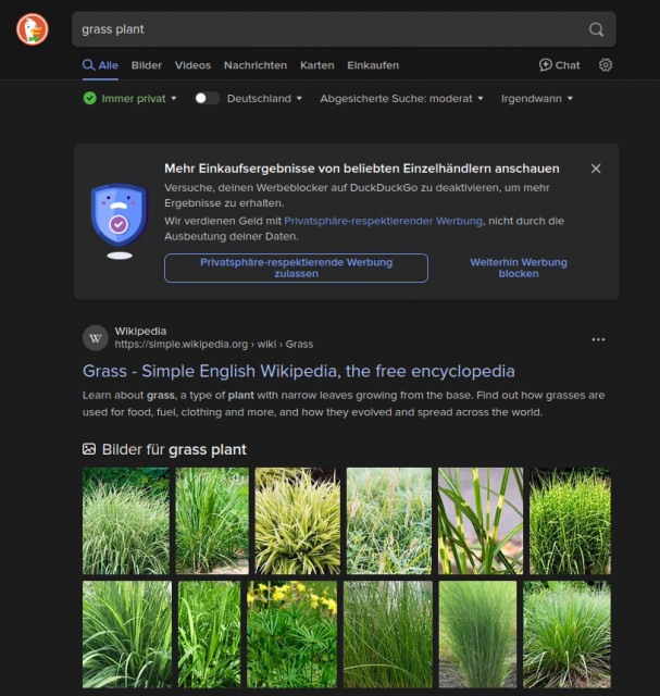Better results when one searches for "grass plant" with the first hit going to Grass on Wikipedia, but now we get a large div whining about us using ad blockers.