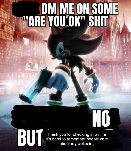 shadow the hedgehog turned to the side and holding a pistol (it's official art from the 2005 game). superimposed is the all-caps text “DM me on some ‘are you OK’ shit. no but thank you for checking in on me it's good to remember people care about my wellbeing”