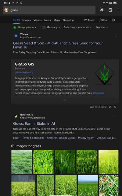 A screenshot of a DuckDuckGo search for the search term "grass"